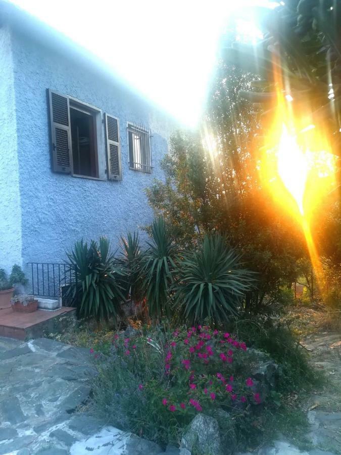 Bed and Breakfast Il Capriolo Celle Ligure Exterior foto